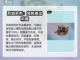 创世战车🔥武器图鉴大全，玩家必看秘籍！截图4