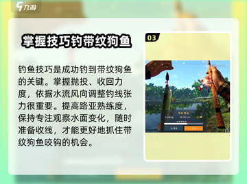 钓鱼星球带纹狗鱼钓法💡超简单技巧分享！截图4