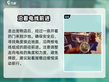 我是小鱼儿金鱼🔥通关秘籍大公开！💡截图5