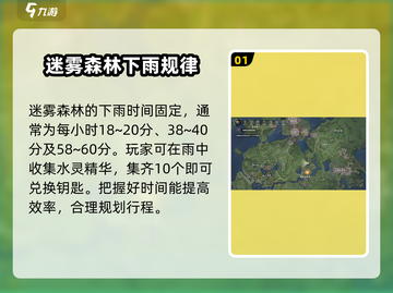 塔瑞斯世界🔥迷雾森林下雨时间大揭秘🌧截图2