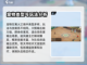 离火之境🔥：必选宠物大揭秘！截图2