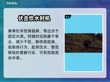 🔥《猎人之路》狩猎神级点位曝光💥截图4