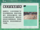 逆水寒玄机内功搭配🔥最强攻略来了！截图4