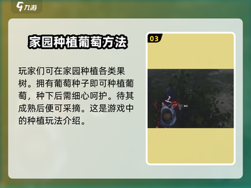 七日世界💥葡萄获取全攻略🍇玩家必看！截图4