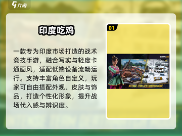 🔥2025印度吃鸡手游TOP榜💥截图2