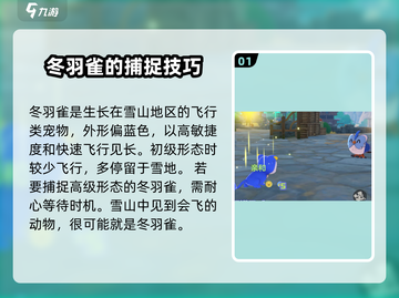 洛克王国世界🔥冬羽雀捕捉超全攻略🎉截图2