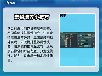 魔力宝贝复兴版🔥神宠养成秘籍！法宠C位出道✨截图4
