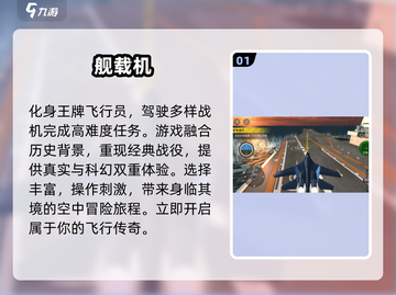 🔥2025必玩🔥模拟战斗机游戏大全✈截图2
