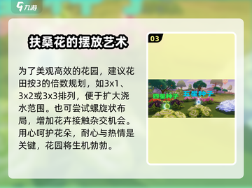 心动小镇🔥扶桑花种植攻略来了！快来看看吧🌸截图4