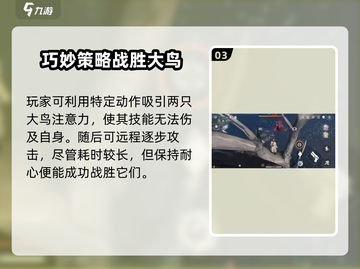 鸣潮⚡双生翎鹭打法攻略，轻松通关秘籍！🔥截图4