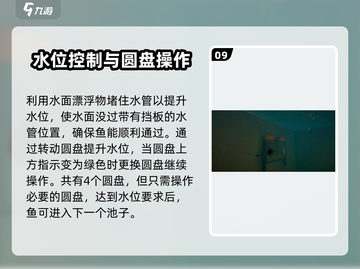 我是小鱼儿食人鱼💥关卡玩法大揭秘🎉截图10