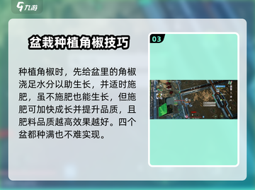 创造吧我们的星球🔥角椒种植攻略与获取方法大公开！截图4