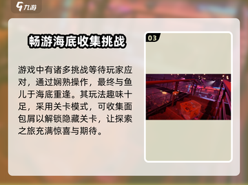 我是小鱼儿🔥上线时间曝光，游戏迷必看！截图4