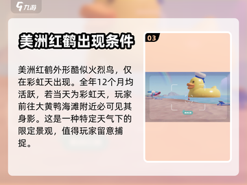心动小镇🔥必看！鸟类分布位置全揭秘🦜截图4