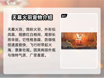 洛克王国🔥手游：快速抓火羽全流程攻略！截图2