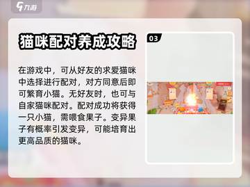 猫咪公寓2🔥超详细生小猫攻略猫咪必备❤截图4