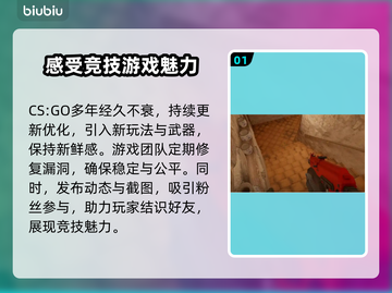 CSGO掉帧？这款加速器让你畅爽游戏🔥🎮截图2