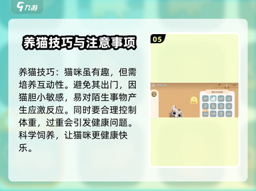 心动小镇撸猫玩法🔥超全撸猫攻略来啦！🐱截图6