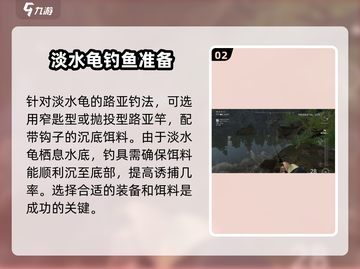 钓鱼星球🔥Rocky湖淡水龟爆护技巧分享！🐢截图3