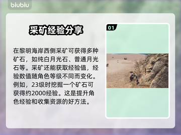 王权与自由：矿点大揭秘💥🔥截图2