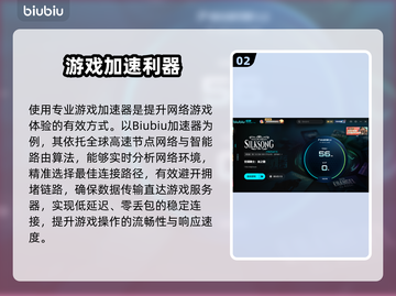🎮空洞骑士丝之歌延迟丢包？一招解决！截图3