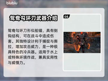 流放之路2💎武器外观特效大揭秘！🔥截图9