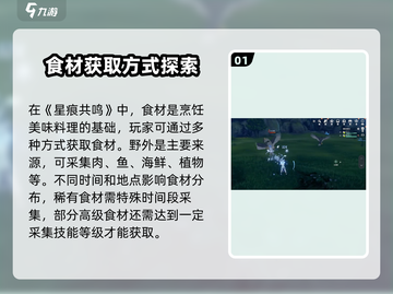 星痕共鸣🔥烹饪玩法大全，游戏达人必看！截图2