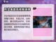 火炬之光无限⚡月女电旋风BD技能推荐🔥截图2