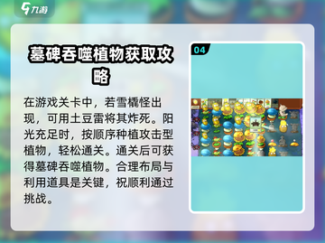 植物大战僵尸杂交版第6关打法分享💥游戏技巧大公开！截图5