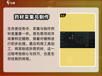 破碎之地生活技能全解析🔥助你称霸游戏世界！截图4