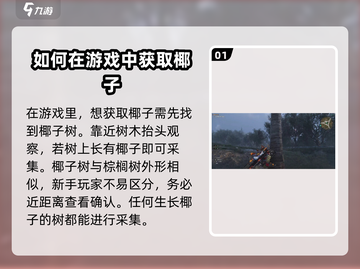 七日世界椰子获取攻略💎玩转游戏必备！截图2