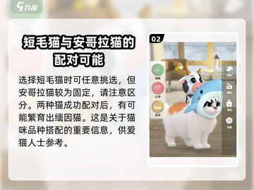 超喵星计划🔥快速合成缅因猫技巧分享！撸猫爱好者必看猫咪游戏技巧👇截图3