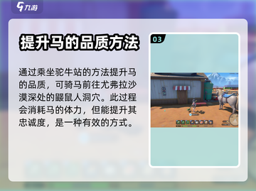 沙石镇时光🎉：马匹品质升级全攻略！截图4