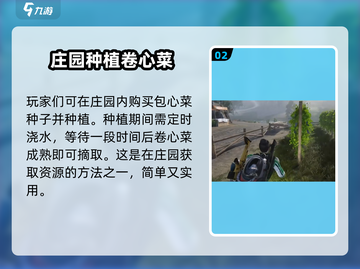 七日世界🔥包心菜获取秘籍，玩家必看！截图3