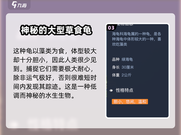 黎明之海绿海龟获取🔥超简单攻略来啦！🎮截图4
