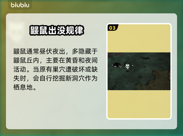 【饥荒】鼹鼠隐藏神技！💎挖宝必备截图4