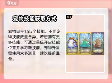 伊苏6宠物系统🔥玩法全攻略！截图4
