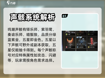鸣潮⭐五星声骸全解析！新手必看🔥截图2