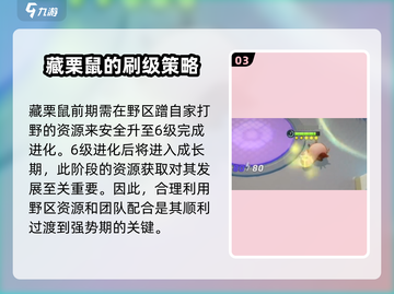 宝可梦大集结🔥藏栗鼠进化方法大揭秘！💥截图4