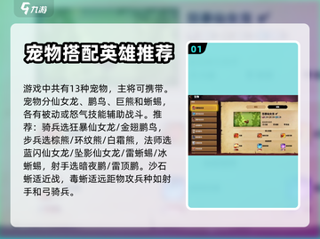 万龙觉醒🔥宠物养成秘籍大公开！💡截图2