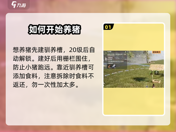 荒野起源🔥养猪攻略：快速养猪称霸游戏✨截图2
