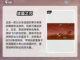 🔥日本战国手游推荐🎉2024必玩截图5