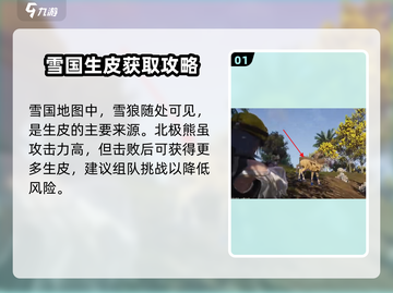 七日世界💡雪国生皮获取秘籍，玩家必看！截图2
