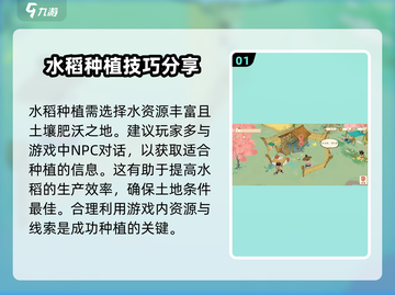 《淡墨水云乡》水稻种植大揭秘🔥游戏技巧全攻略！截图2