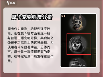 萤火突击🔥宠物摩卡强度分析来了！超详细解读🎉截图2