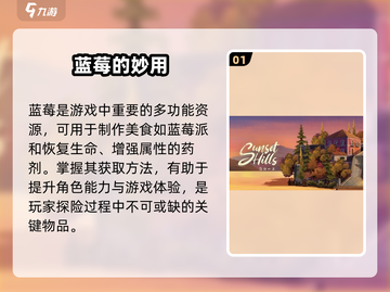 落日山丘蓝莓位置曝光！🍓截图2