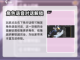 寻光之旅💡：快速触发隐藏剧情的方法🔥截图5