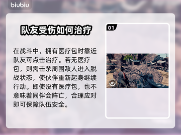 星空同伴倒地？快速解决方法⚡不容错过！截图2