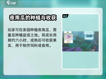 创造吧我们的星球 NIGHT🎃南瓜获取攻略✨截图3