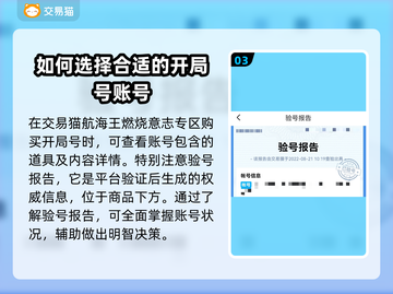 航海王燃烧意志开局号购买平台大揭秘🔥截图4